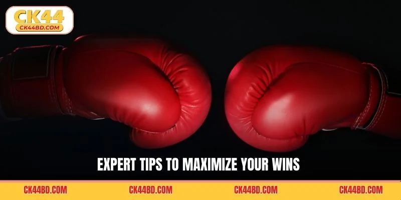 Expert tips to maximize your wins